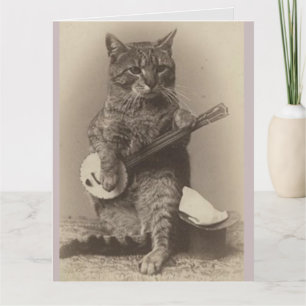 FUNNY CAT BANJO BIRTHDAY CARD