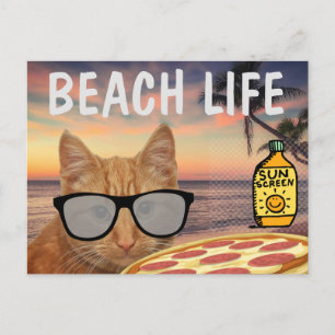 FUNNY CAT BEACH LIFE POSTCARD