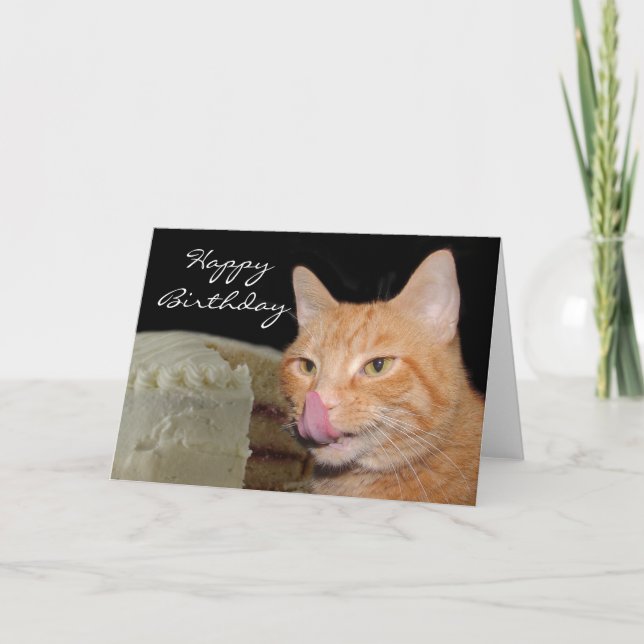 Funny cat Birthday Card (Front)