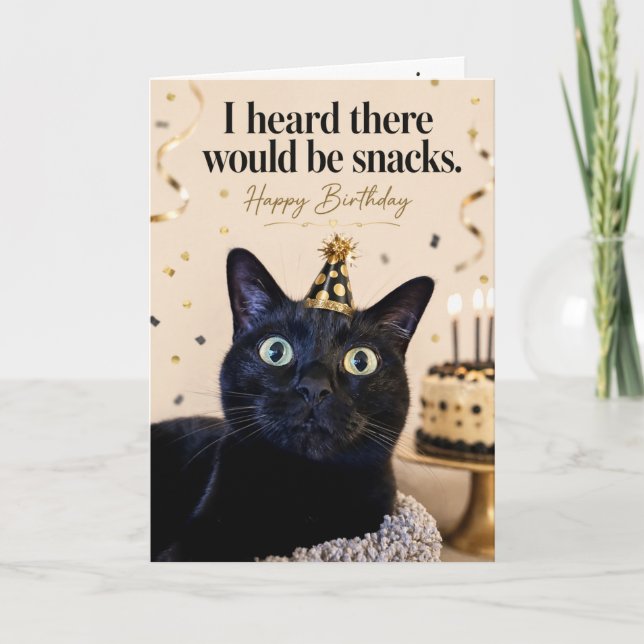 Funny Cat Birthday Card (Front)