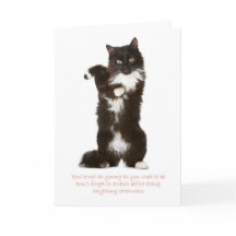 Funny Cat Birthday Card