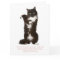 Funny Cat Birthday Card
