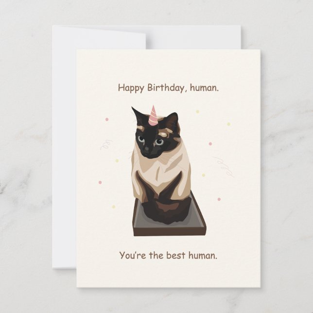 Funny Cat Birthday Card (Front)