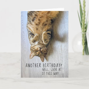 Funny Cat Birthday Card