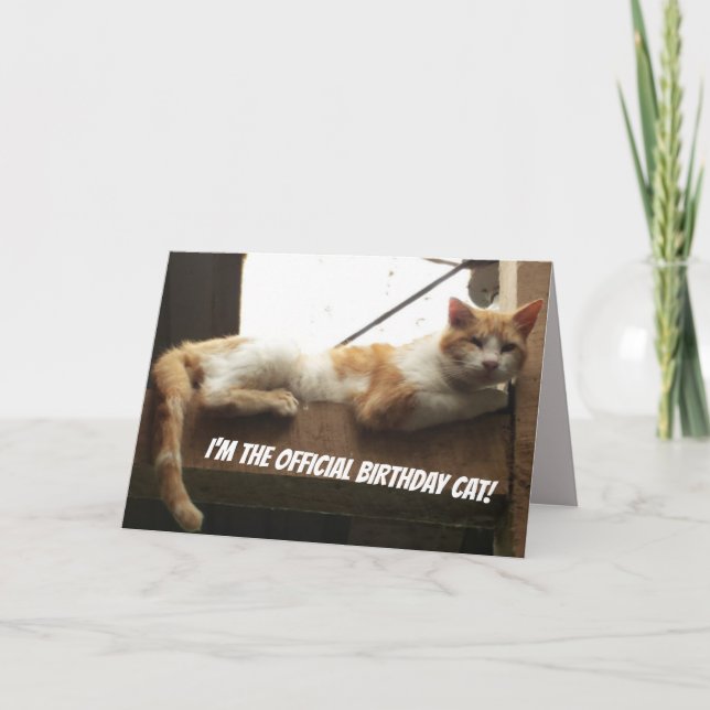 Funny Cat Birthday Card (Front)