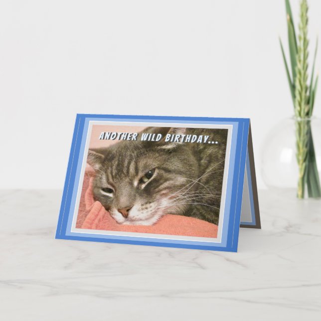 Funny Cat Birthday Card (Front)