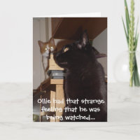 Funny Cat Birthday Card 'Being Watched'