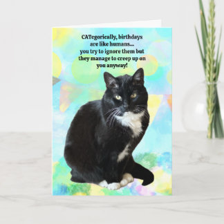 Funny Cat Birthday Card from The Cat