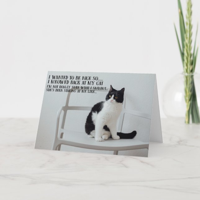 Funny Cat Birthday Greeting Card  (Front)