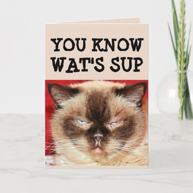 FUNNY CAT BIRTHDAY Greeting Card (Front)
