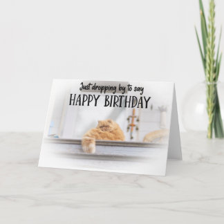 Funny Cat Birthday Greeting Card 