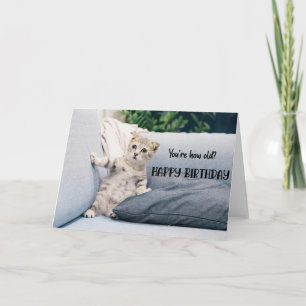 Funny Cat Birthday Greeting Card