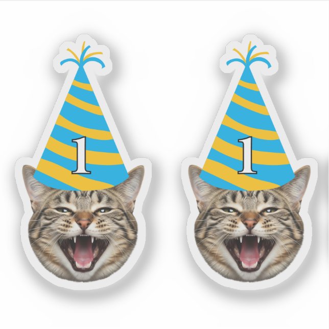 Funny Cat Birthday Sticker – Custom Face & Age (Front)