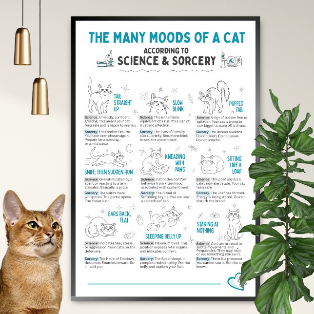 Funny Cat Body Language Poster – Feline Mood Chart (Creator Uploaded)