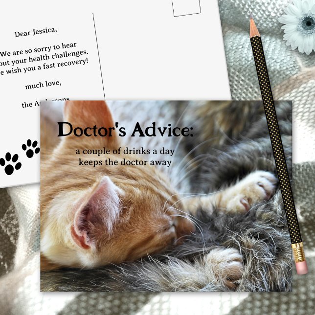 Funny Cat Booze Get Well Soon Postcard (Creator Uploaded)