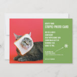 Funny Cat Bread Mask Christmas Stupid Photo Card<br><div class="desc">Send laughter this holiday season with these hilarious Christmas cards! We all know we're "supposed" to send out photo cards at Christmas time - it's the culturally accepted practice, after all. Well, these cards say, "Here's your stupid photo card, " and they include a very awkward photo of a cat...</div>