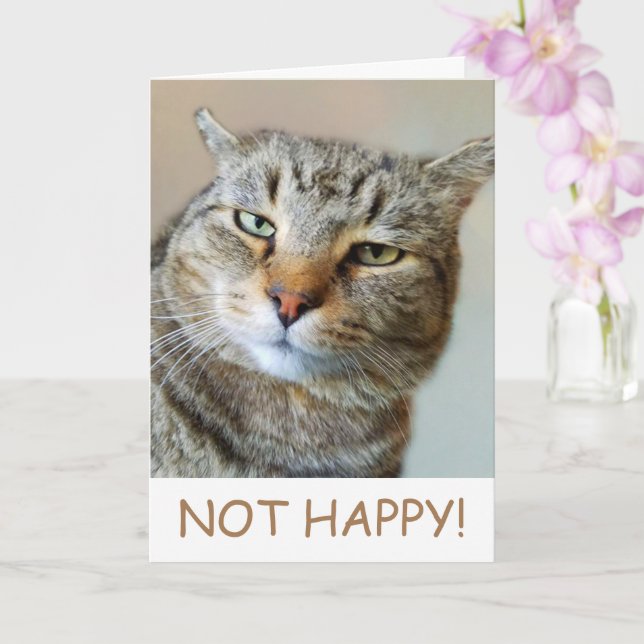 Funny Cat Cancer Support Card (Orchid)