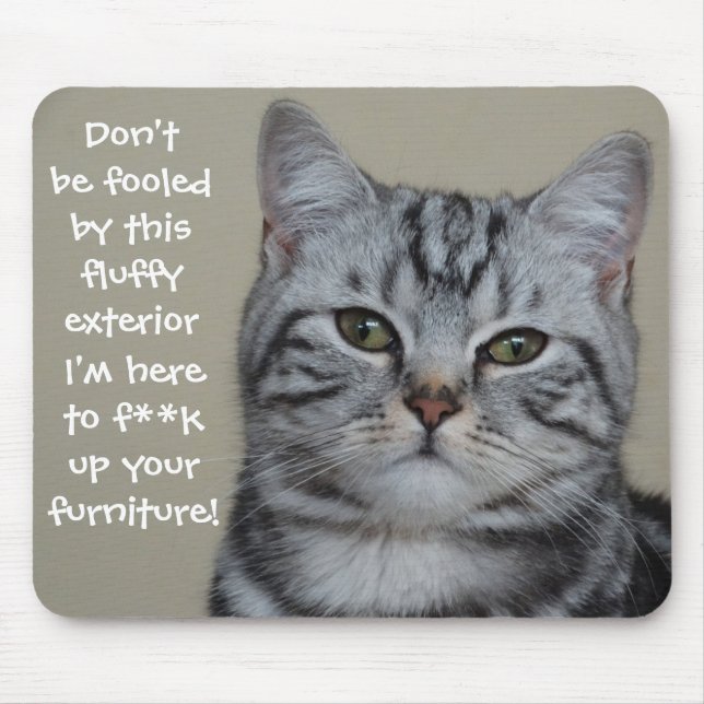 Funny Cat Caption Mess up Furniture Mouse Pad (Front)