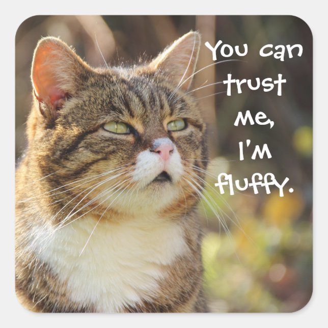 Funny Cat Caption Trust Me I'm Fluffy Square Sticker (Front)