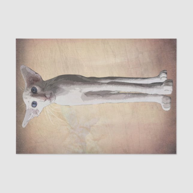 Funny Cat Cartoon Watercolor Tissue Paper (Front)