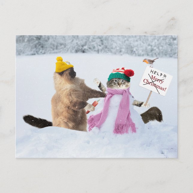 Funny Cat Christmas Greeting Card (Front)