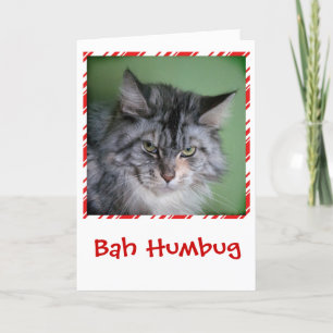Funny Cat Christmas greeting card