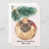 Funny Cat Christmas Last Thing Bauble Sees Card