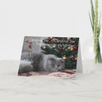 Funny Cat Christmas Ornaments are History