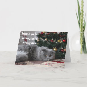 Funny Cat Christmas Tree Angry Greeting Holiday Card