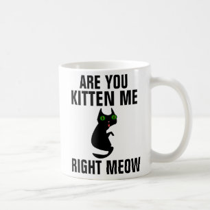 Funny Cat Coffee Mugs, Are you Kitten me Mug