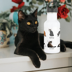 Funny Cat Commands Illustrated Training Chart 532 Ml Water Bottle