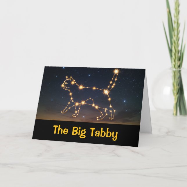 Funny Cat Constellation greeting Card (Front)