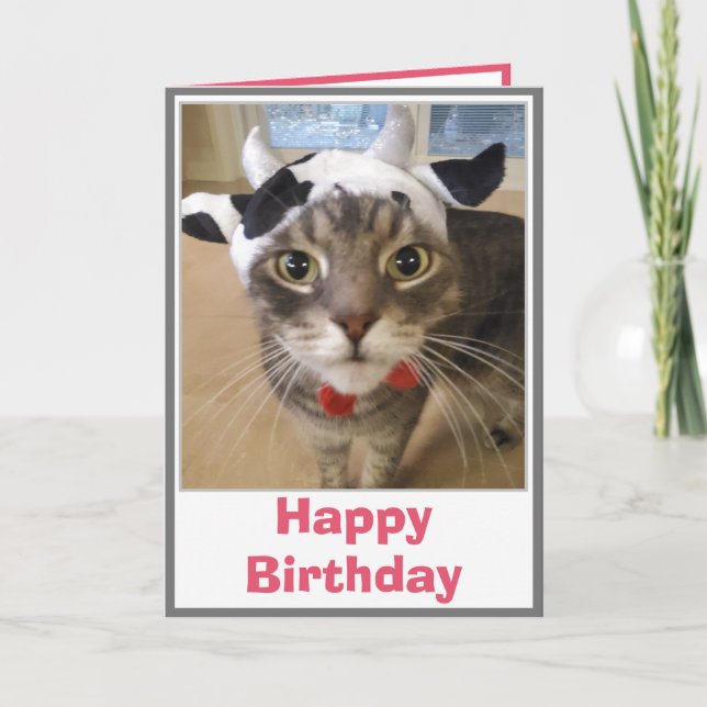 Funny Cat Cow Joke Birthday Card (Front)