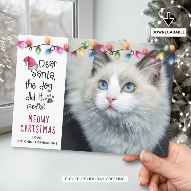 Funny Cat DEAR SANTA Christmas Lights Photo Holiday Card (Creator Uploaded)