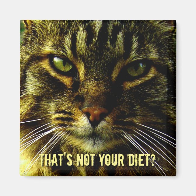 Funny Cat Diet Guard Magnet (Front)