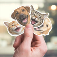 Funny Cat & Dog Faces with Your Custom Photos