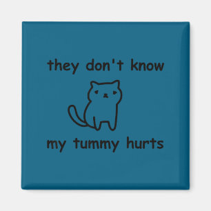 Funny Cat Don' Know Tummy Hurts Magnet