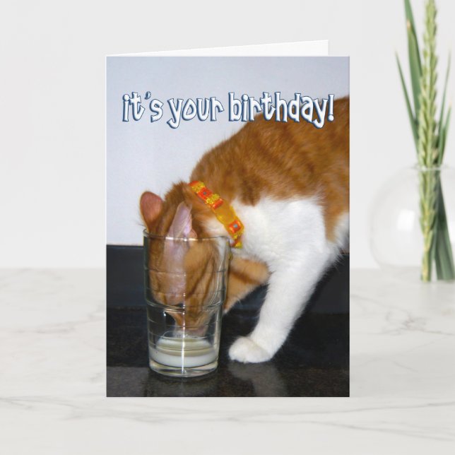 Funny Cat Drinking from Glass - Happy Birthday Card (Front)