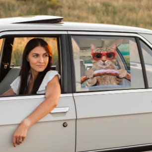 Funny Cat Driving Car Shade 12" x 12"