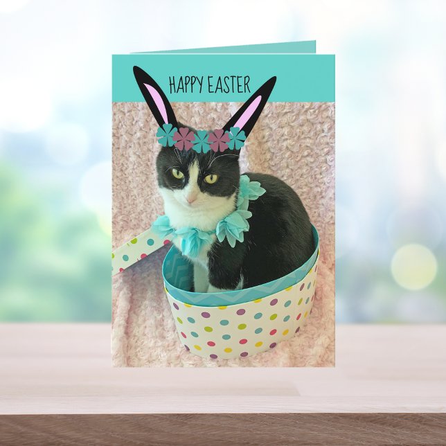 Funny Cat Easter Card (Creator Uploaded)