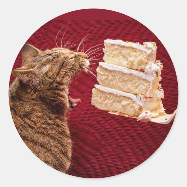 Funny Cat Eating a Big Piece of Cake Classic Round Sticker (Front)