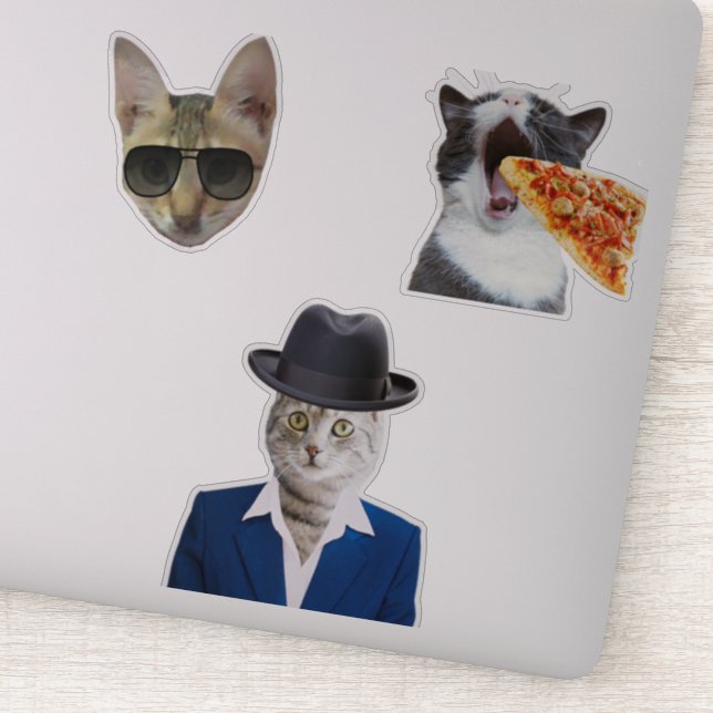 Funny Cat Eating Pizza (Detail)