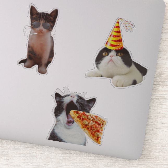 Funny Cat Eating Pizza (Detail)