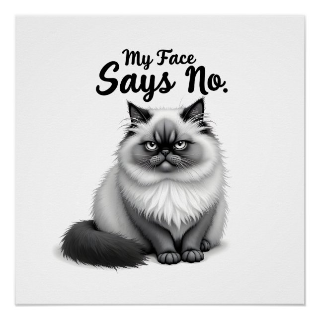 Funny Cat Face Illustration – Minimal Cute Cat Art Poster (Front)
