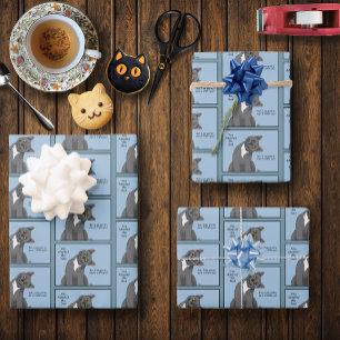 Funny Cat Father’s Day Grey Cat Blue Wrapping Paper Sheet