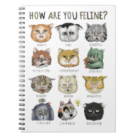 Funny Cat Feeling Chart How Are You Feline?