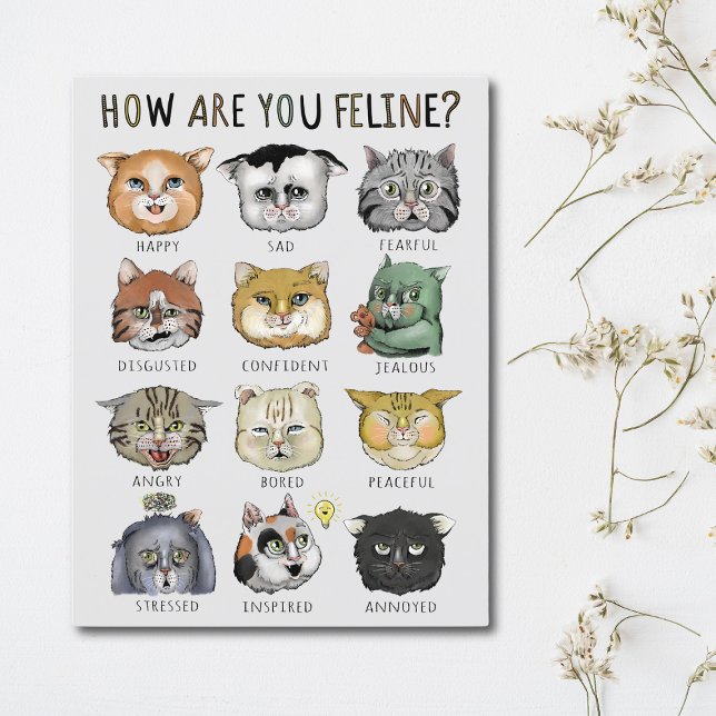 Funny Cat Feeling Chart How Are You Feline? Postcard (Creator Uploaded)