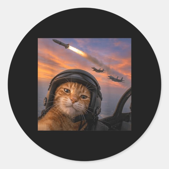 Funny Cat Fighter Pilot Selfie Squad Meme Kitty Classic Round Sticker (Front)