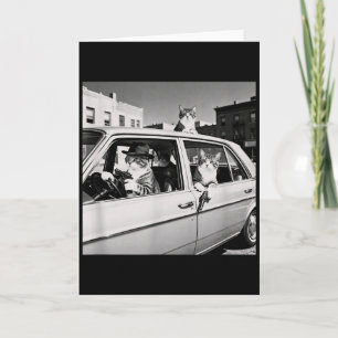 Funny Cat Gang Vintage Cool Feline Design Retro  Card