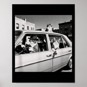 Funny Cat Gang Vintage Cool Feline Design Retro  Poster